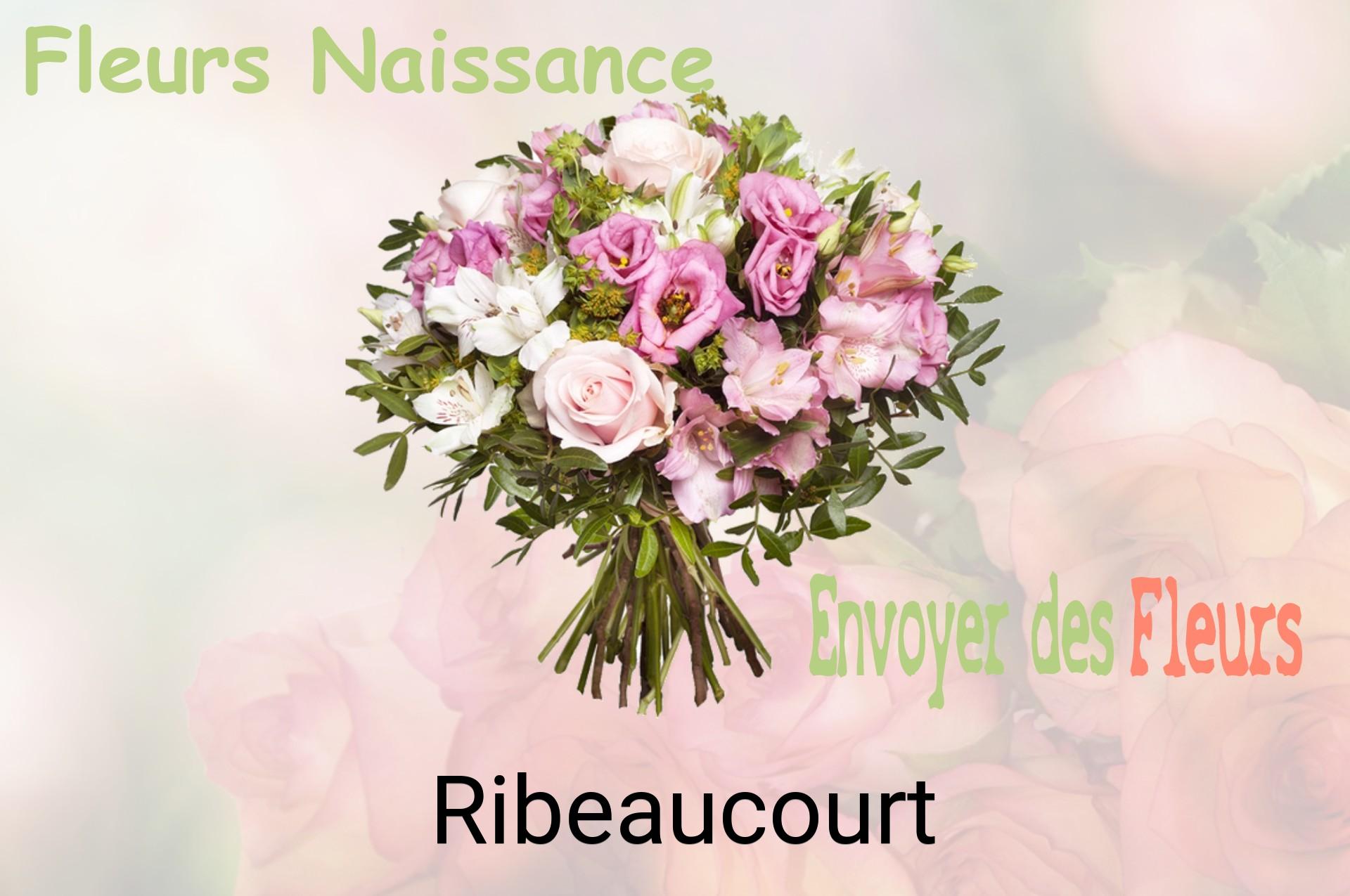 Bouquet de fleurs de naissance livré à Ribeaucourt